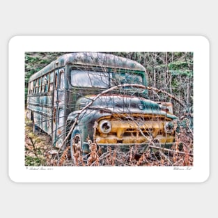 Wilderness Ford Sticker